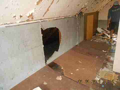 6637 Majestic (13)_m.jpg